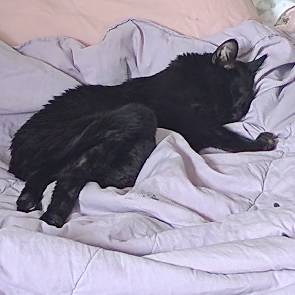 Clothing - Picture 4 of 12